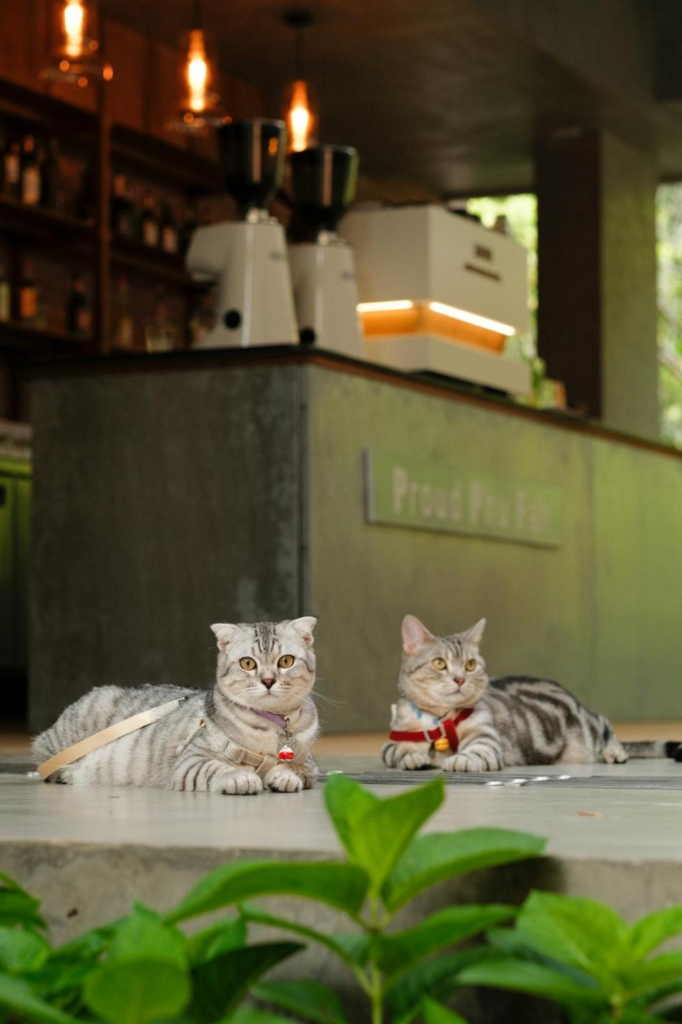 Proud Phu Fah Muang Chiang Mai酒店 外观 照片